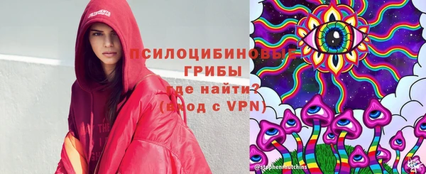 хмурый Алексеевка