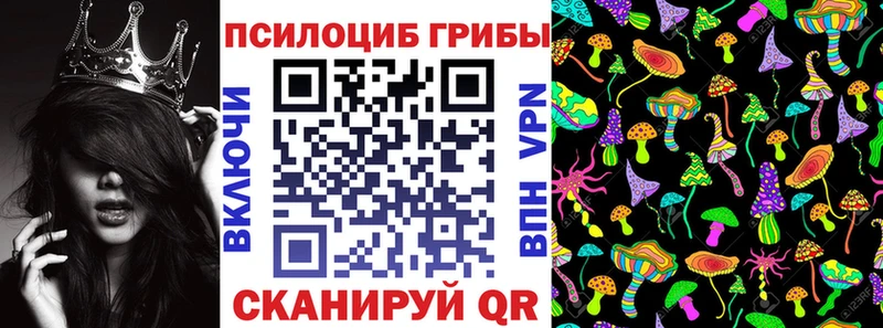 наркотики  Курлово  Псилоцибиновые грибы Cubensis 